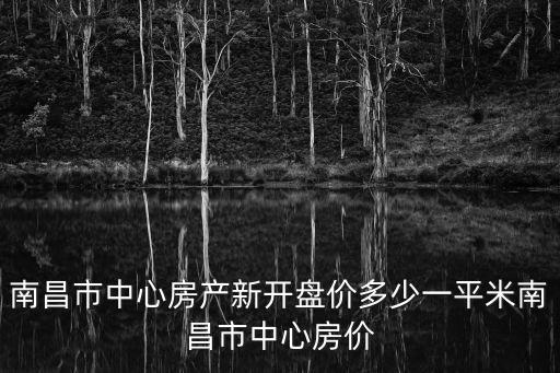 南昌市中心房產新開盤價多少一平米南昌市中心房價