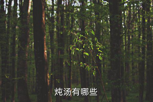 燉湯大全，有哪些食材可燉湯