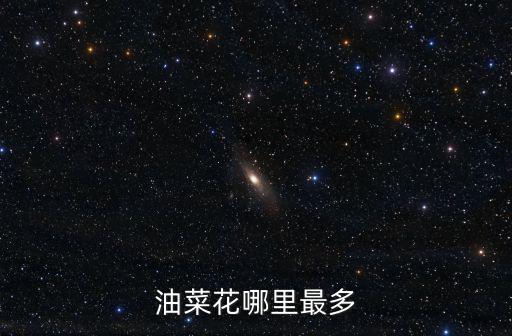 油菜花哪里最多
