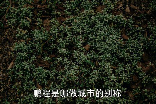 鵬程是哪做城市的別稱