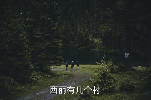 西麗，深圳西麗在那個位置