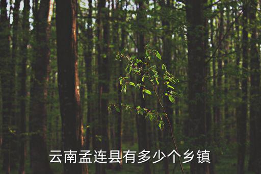 孟連，云南省孟連縣有多少個村