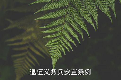 退伍安置條例，退伍義務兵安置條例