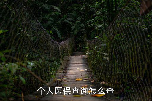 個人醫保查詢網上查詢，怎么樣查看個人醫保賬戶