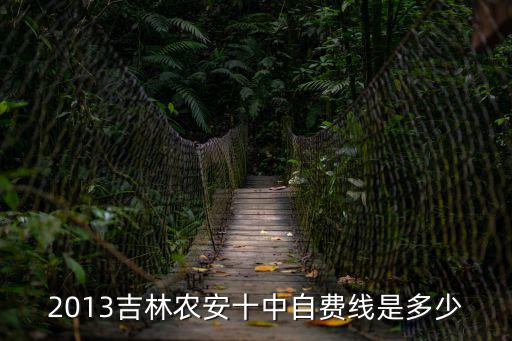 2013吉林農安十中自費線是多少