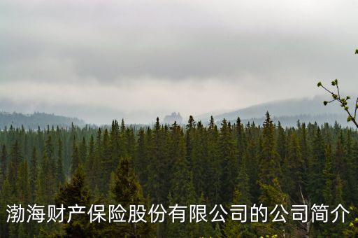 渤海財產保險股份有限公司的公司簡介