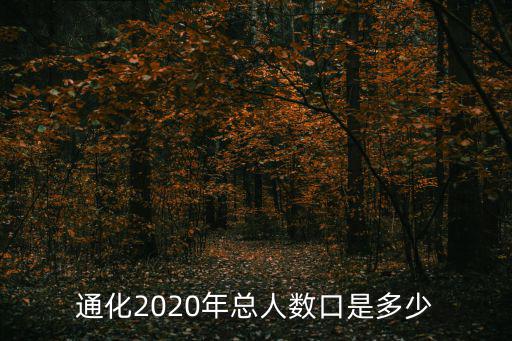通化2020年總人數口是多少