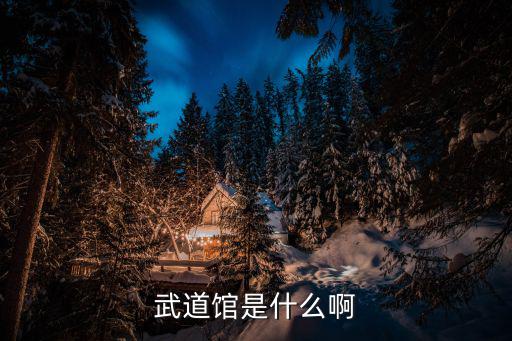 武道館是什么啊