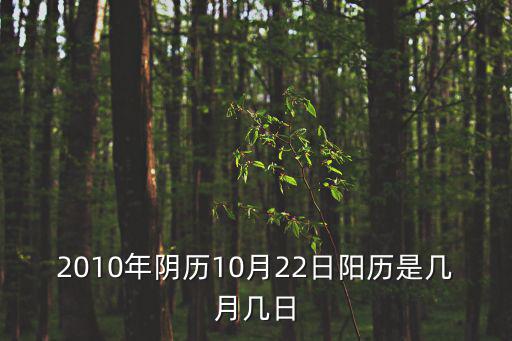 2010年陰歷10月22日陽(yáng)歷是幾月幾日