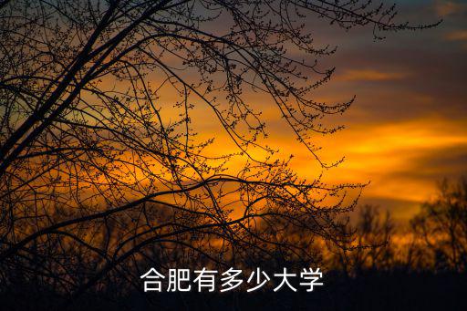 合肥有多少大學