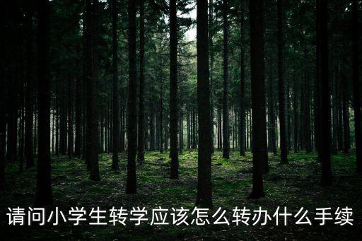 小學(xué)生轉(zhuǎn)學(xué)，小學(xué)轉(zhuǎn)學(xué)需要什么手續(xù) 條件是什么