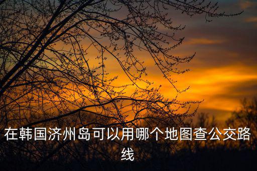在韓國濟州島可以用哪個地圖查公交路線