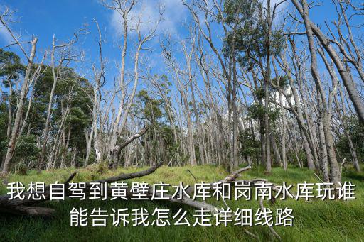 崗南水庫，崗南水庫紅土山釣魚情況