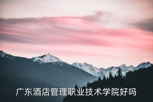 廣東酒店管理職業技術學院好嗎