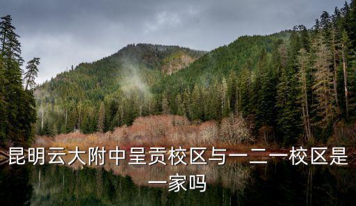 昆明云大附中呈貢校區與一二一校區是一家嗎