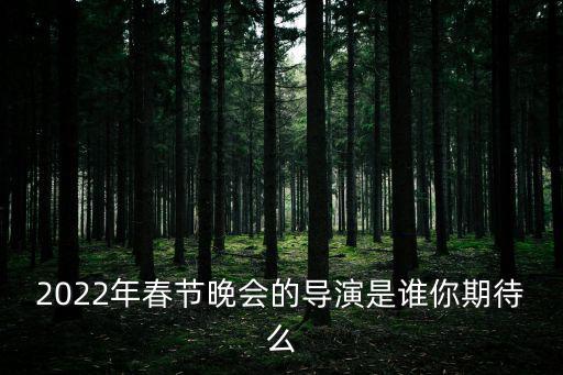央視春晚導(dǎo)演，春晚的總導(dǎo)演是誰(shuí)
