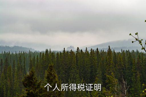 個人所得稅證明