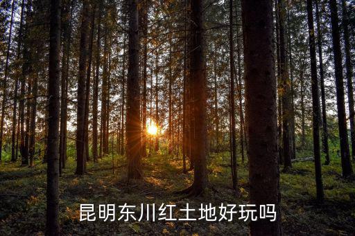 東川紅土地風(fēng)景區(qū)，昆明東川紅土地好玩嗎