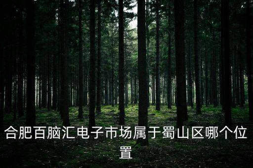 合肥百腦匯電子市場屬于蜀山區(qū)哪個位置