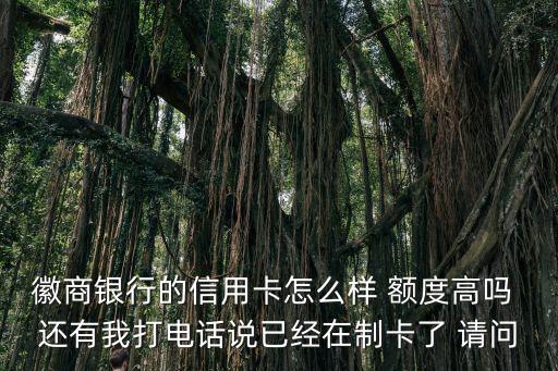 徽商銀行的信用卡怎么樣 額度高嗎 還有我打電話說已經在制卡了 請問