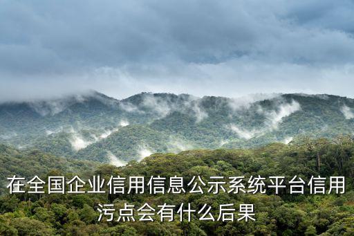 在全國企業(yè)信用信息公示系統(tǒng)平臺信用污點會有什么后果
