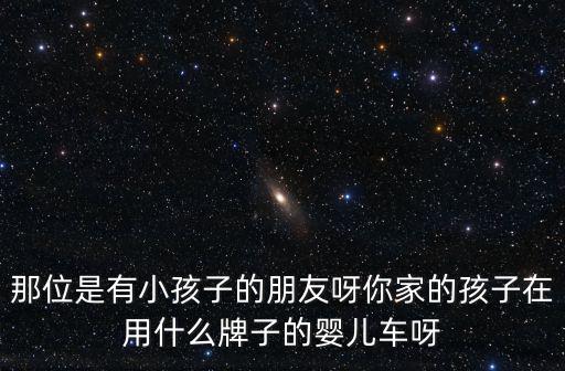 那位是有小孩子的朋友呀你家的孩子在用什么牌子的嬰兒車呀
