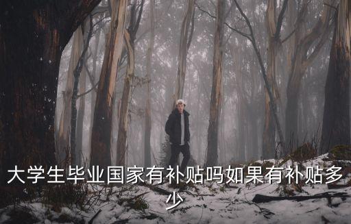 畢業生補貼，現在畢業的大學生有什么補助政策嗎