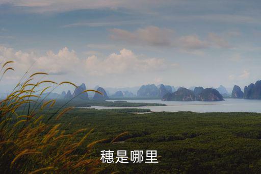 穗是哪里