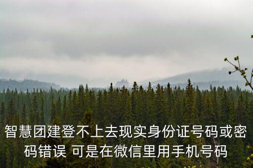 智慧團建登不上去現實身份證號碼或密碼錯誤 可是在微信里用手機號碼