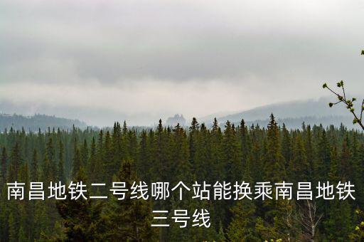 南昌地鐵二號線，也就是說乘坐南昌地鐵二號線不用去華聯超市那邊直接乘坐南昌地