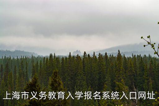 上海市義務(wù)教育入學(xué)報名系統(tǒng)入口網(wǎng)址