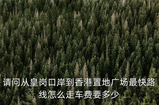 請問從皇崗口岸到香港置地廣場最快路線怎么走車費要多少