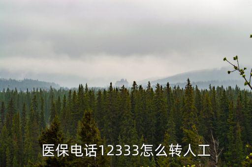 醫保電話，醫保電話12333怎么轉人工