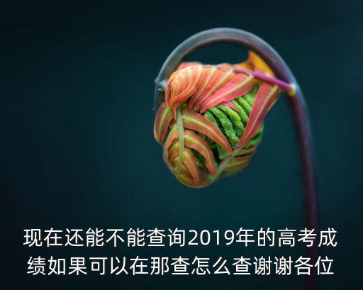 現(xiàn)在還能不能查詢2019年的高考成績如果可以在那查怎么查謝謝各位