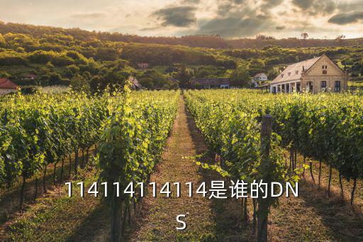 114114114114是誰的DNS