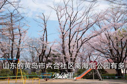 山東的黃島市六合社區離海底公園有多少公里