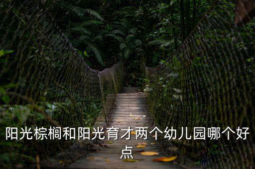 陽光棕櫚和陽光育才兩個幼兒園哪個好點