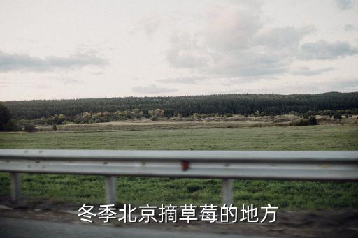 冬季北京摘草莓的地方