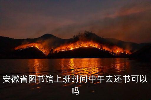 安徽省圖書館官網，安徽省圖書館電子閱覽室可收費