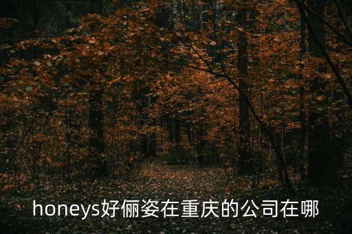 honeys好儷姿在重慶的公司在哪