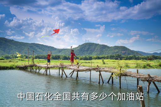 石化加油站，中國石化全國共有多少個加油站