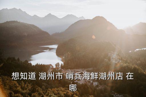想知道 湖州市 哨兵海鮮湖州店 在哪