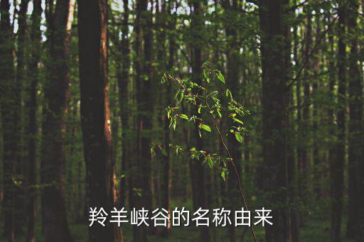 羚羊峽谷的名稱由來