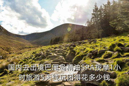 國內去出境巴厘島精油SPA按摩1小時旅游5天純玩團得花多少錢