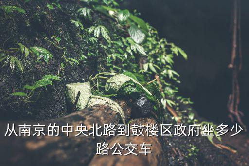 南京鼓樓區政府，鼓樓區政府全國有幾個