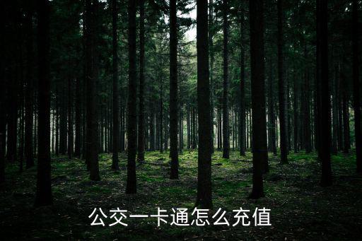公交一卡通怎么充值