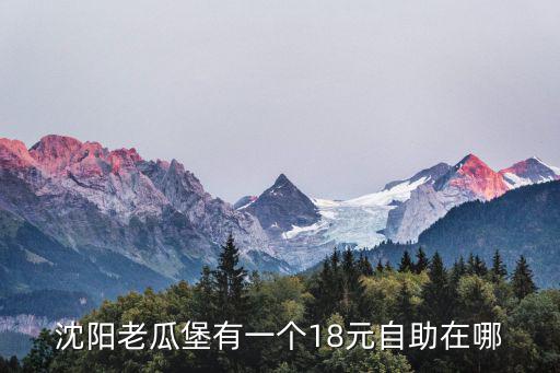 沈陽老瓜堡有一個(gè)18元自助在哪