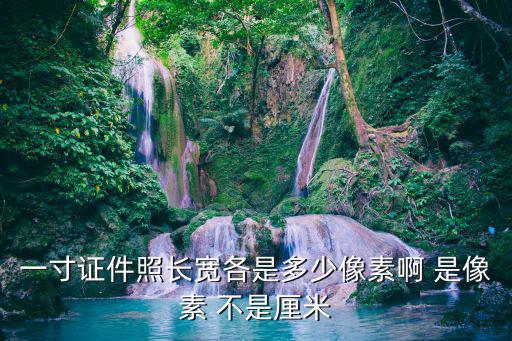 一寸證件照長寬各是多少像素啊 是像素 不是厘米