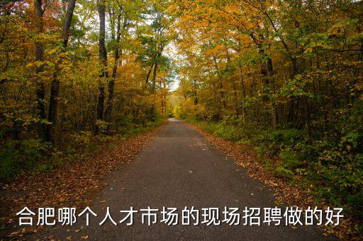 合肥哪個人才市場的現場招聘做的好