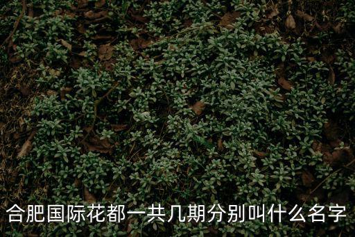 合肥國際花都一共幾期分別叫什么名字